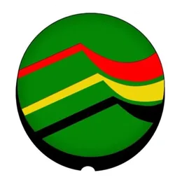 Logo BPR Solok Selatan