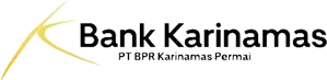 Logo BPR Karinamas Permai